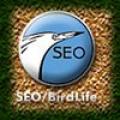 Seo Birdlife